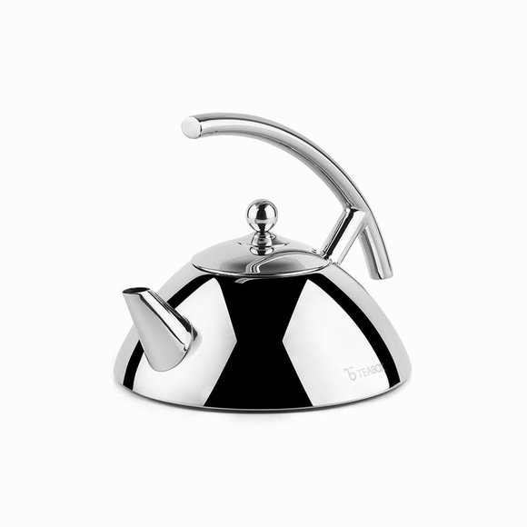 Other - NIB Stainless Steel Tea Kettle